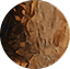 Moon texture