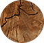 Moon texture